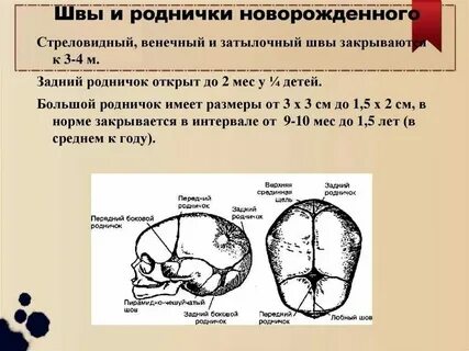 Количество зарасти