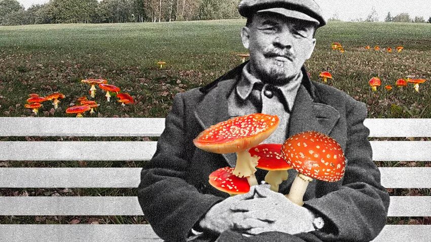 Ленин - гриб?!. :: Кай-8 (Ярослав) Забелин - Социальная сеть ФотоКто
