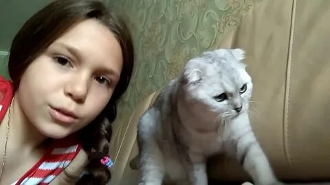 Вики кошечки