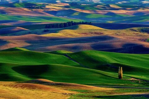 Colour nature