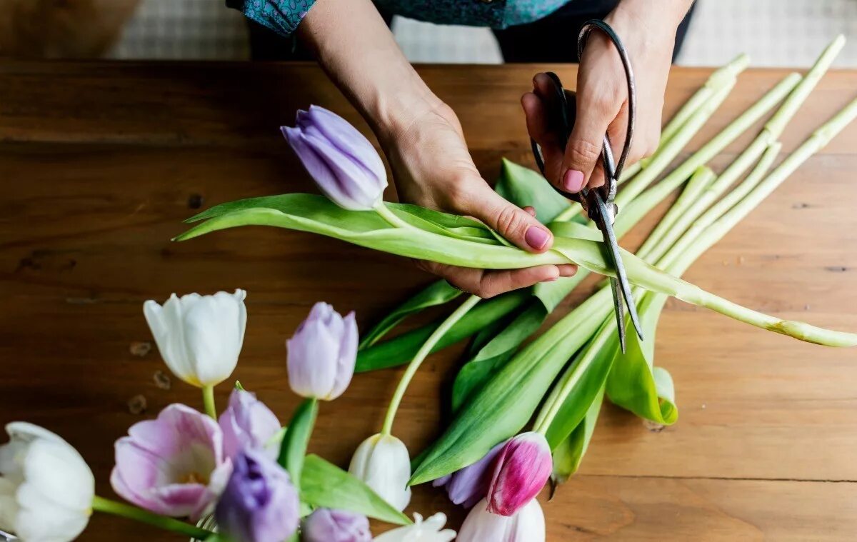 Как сохранить свежие тюльпаны в вазе. Flower Cutting activity. Panamerican Cut Flowers. Flowers for Cutting. Flowers are Cut.