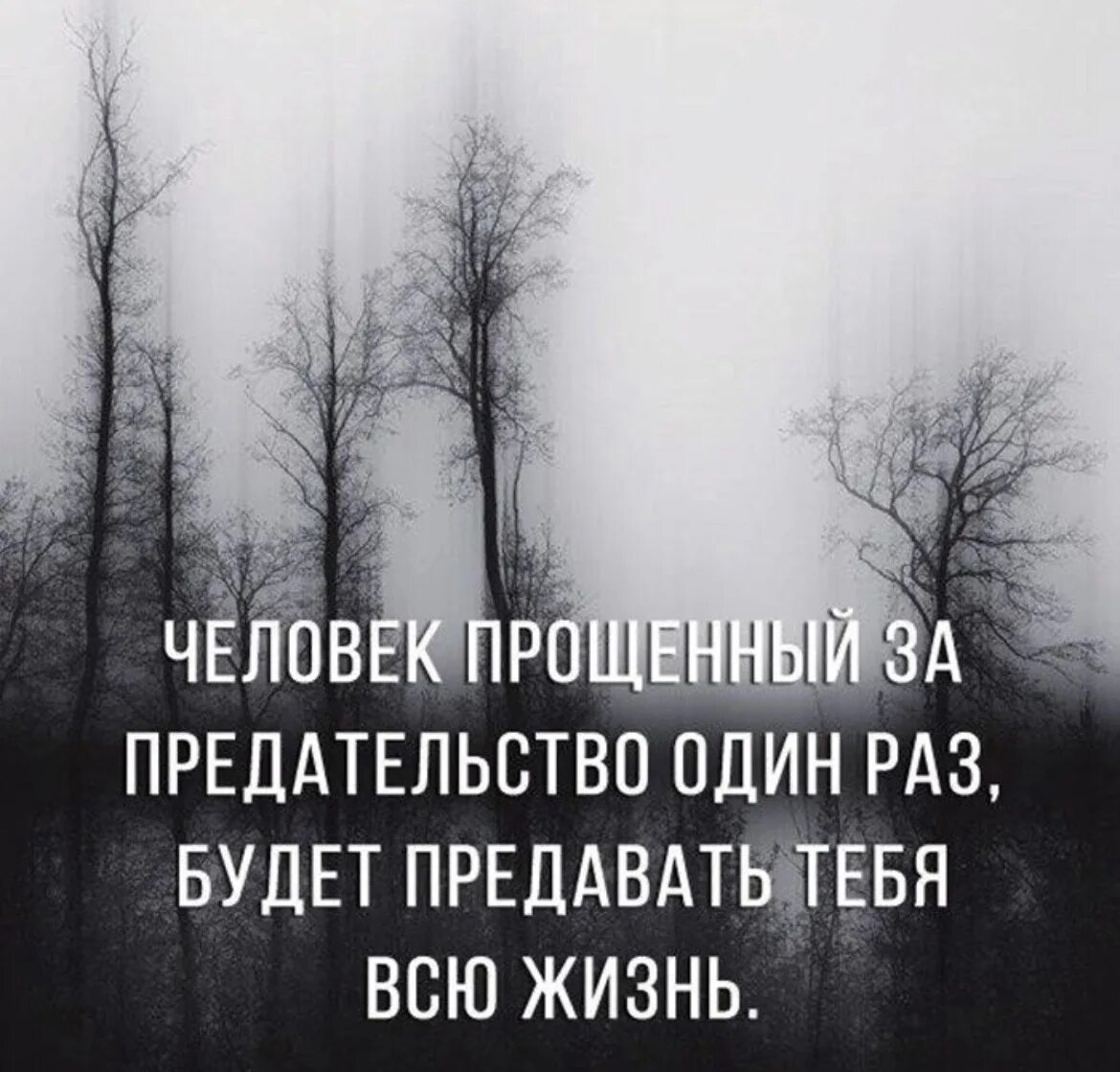 Я прощу тебе твою измену. Прощать нельзя цитаты. Измену прощать нельзя. Нельзя прощать предателей цитаты. Цитаты про предателей.