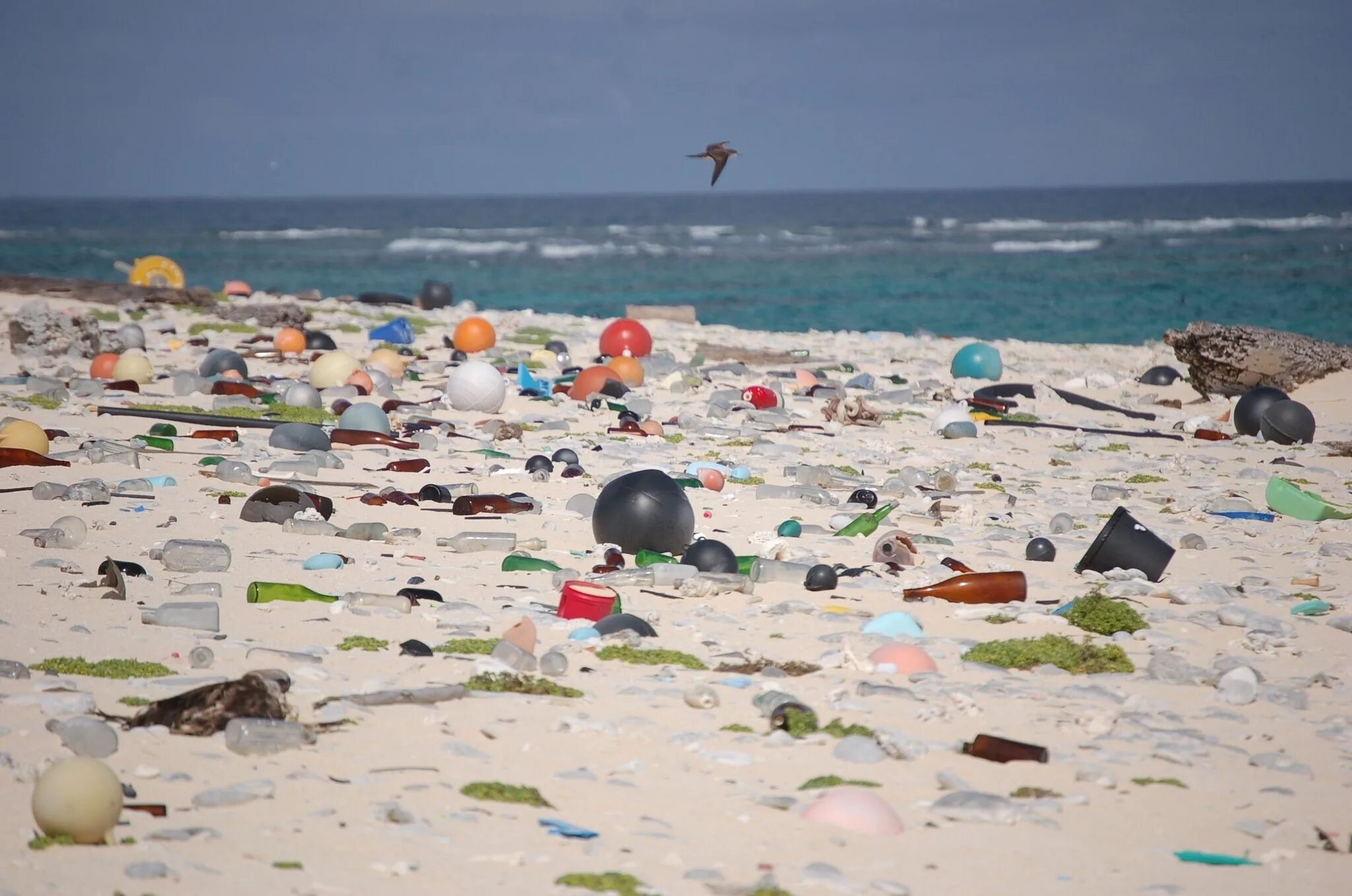 Остров человек в океане. Остров Хендерсон мусор. Хендерсон остров самый грязный. Остров Хендерсон в тихом океане. Необитаемый остров Хендерсон в тихом океане мусор.