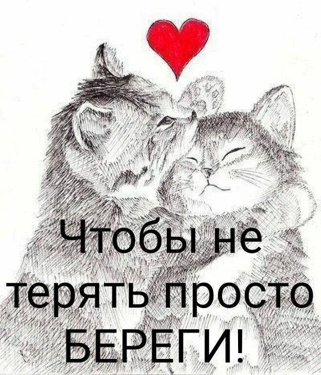 Картинка я не обнаглела, просто потеряла список, кого бояться. Ценить нужно тех кто ценит тебя. Картинки надо ценить. Не теряйте любимых картинки. Ты очень мне необходим.