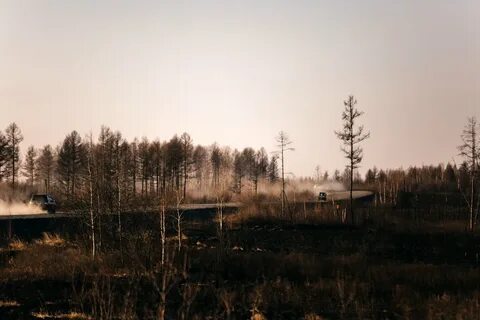 Гисметео магдагачи