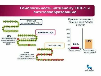 Аргпп 1