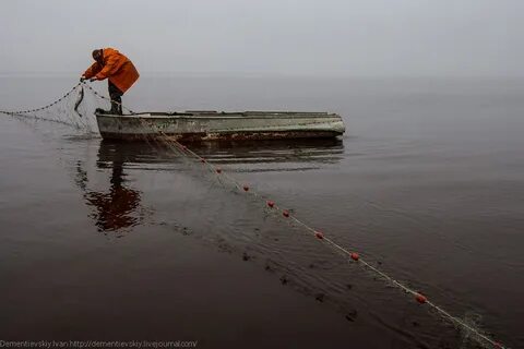 Как поставить сеть без лодки с берега