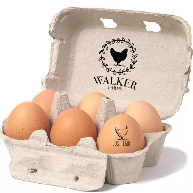 Eggs are there in the box