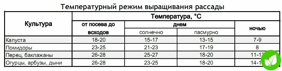 При какой температуре выращивать рассаду капусты. Температура для рассады томатов в теплице. Температурный режим для рассады томатов в теплице. Оптимальная температура для высадки рассады томатов. Температурный режим для перцев и томатов в теплице.