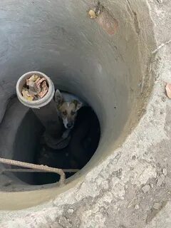 Попал в колодец