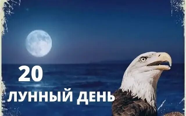 20 октября лунный день