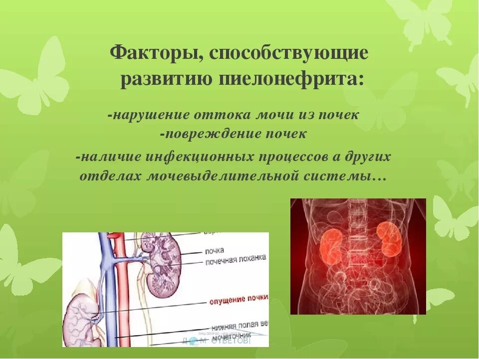 Пиелонефрит симптомы и лечение диета. Пиелонефрит симптомы и лечение диета