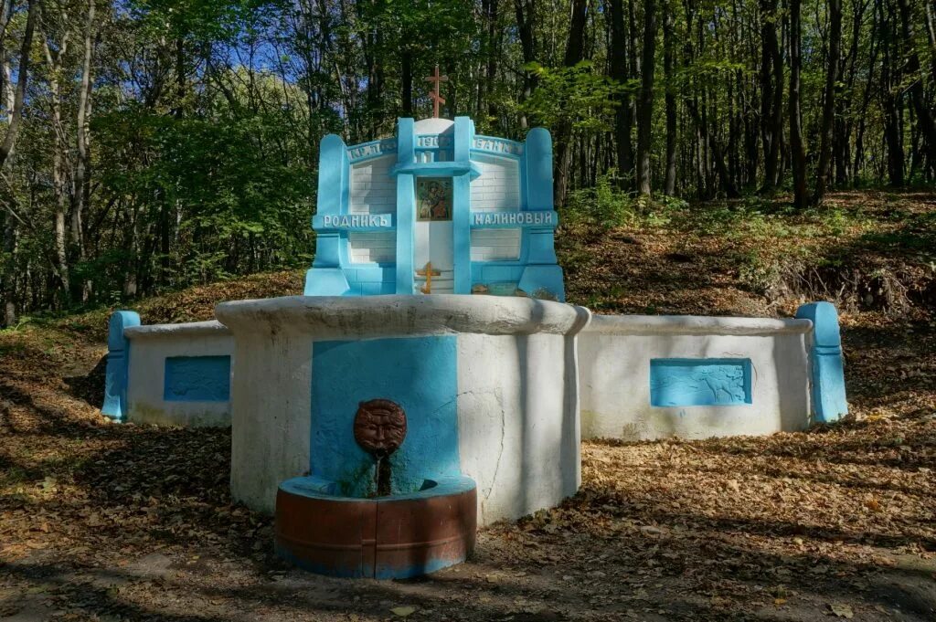 Вода родник. Родник малиновая вода. Газированная вода родник. Родник малиновая вода. Вода родник.