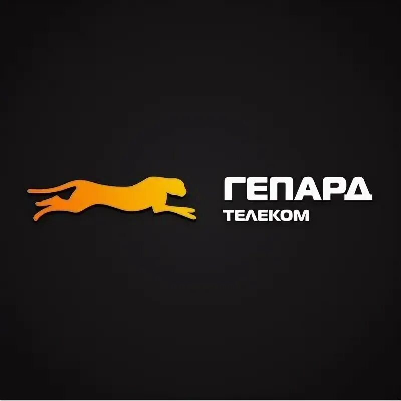 Гепард спб. Гепард телеком. гепард телеком представительство. ооо гепард. интернет гепард.