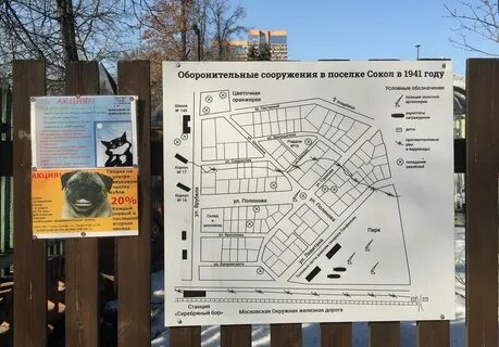 Сокол на карте
