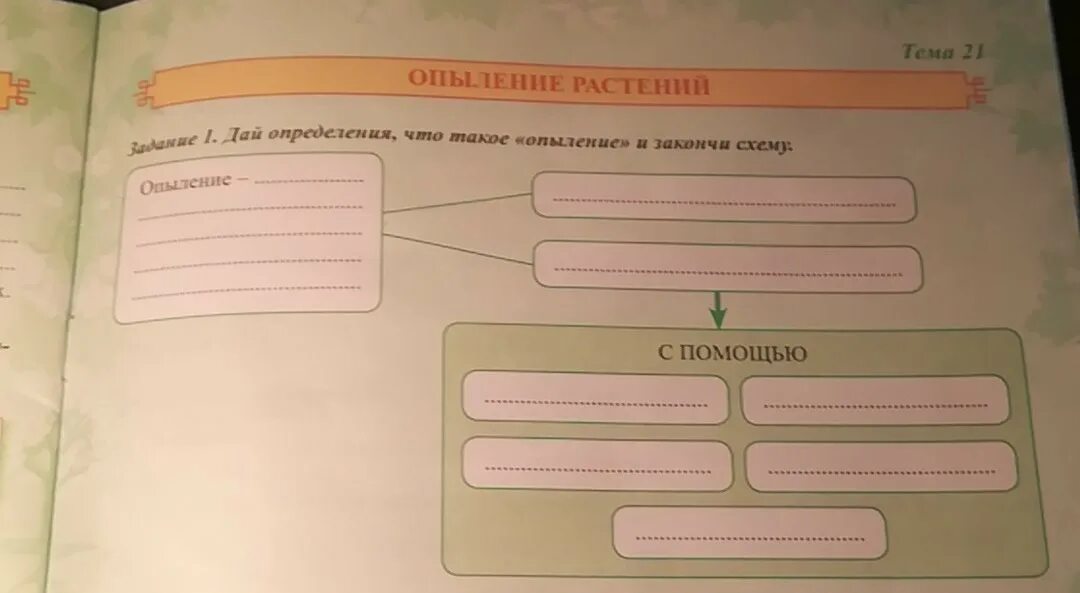 Используя материал параграфа