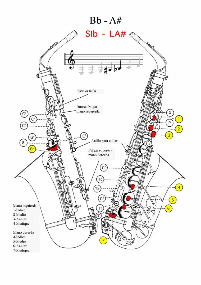 Саксофон 3 клапан. Октавный клапан на саксофоне. Схема саксофона Альт. Саксофон клапан Ре 3 октавы.