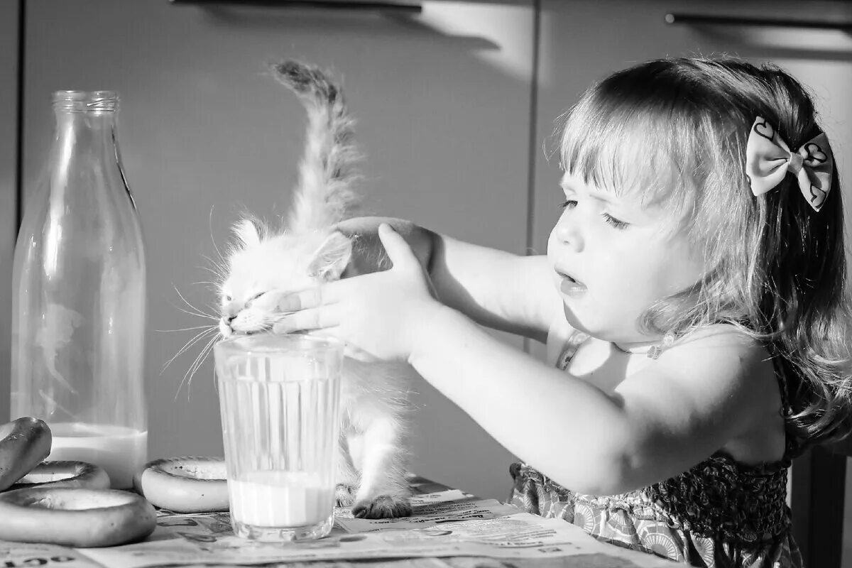 Кот и молоко. Маленькая девочка и белый кот. Ребенок пьёт молоко с котом. Маленькая девочка за столом