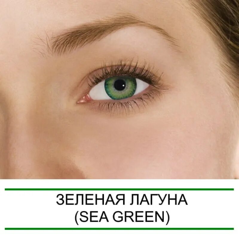 Freshlook dimensions. Линзы freshlook green. фрешлук дименшенс. линзы freshlook dimensions. линзы пасифик блю.