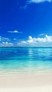 Sea на андроид