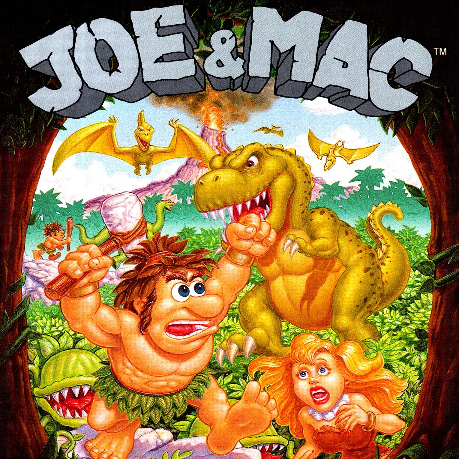 Сега игры джо и мак. Joe mac caveman ninja nes обложка. Sega игра joe и mac пещерные ниндзя. Joe mac caveman ninja sega. Joe mac caveman ninja sega.