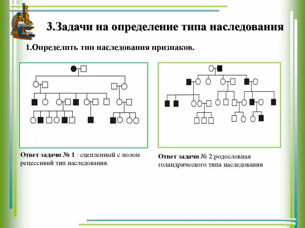 Наследование определение. Решение генетических задач на сцепленное с полом наследование. по схеме родословной определите тип наследования. схема родословной тип наследования генотип. сцепленное наследование признаков генетика.