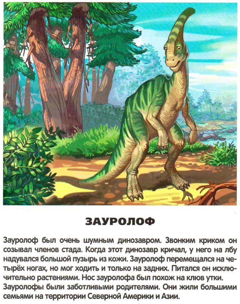 Опиши динозавра. Карточки динозавры для детей. Карточки с описанием динозавров. Карточки динозавров с фактами. Обучающие карточки. Динозавры.