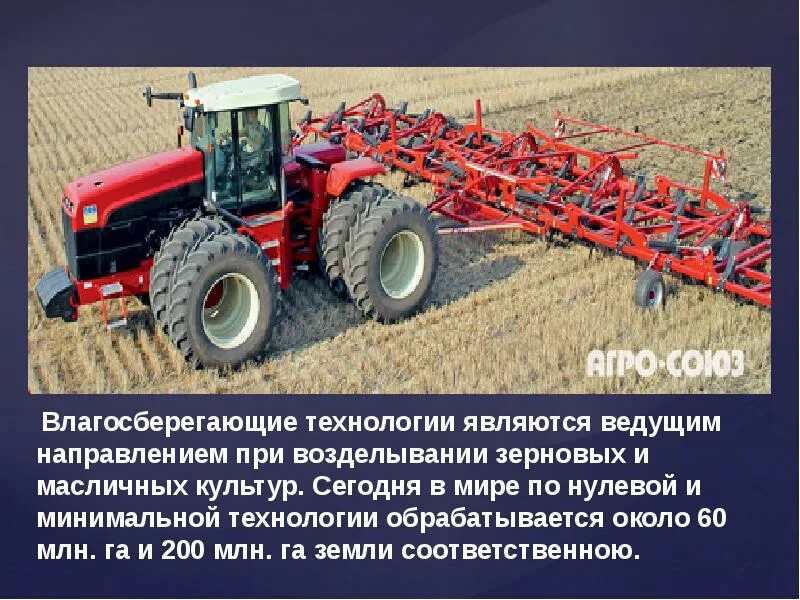 Процесс посева зерновых культур. Технологическая возделывания зерновых культур. Технология возделывания зерновых. Технология выращивания зерновых культур.