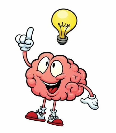 Como o cérebro aprende - Viver de Blog Ilustração do cérebro, Desenho de cerebro