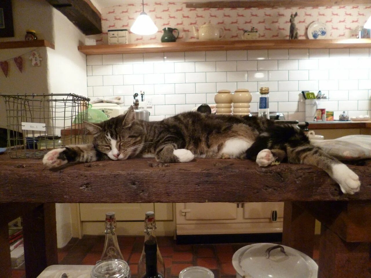 Cats kitchen. Кошка на кухне. Котик на кухне. Кот на кухонном столе. Кошачья кухня.