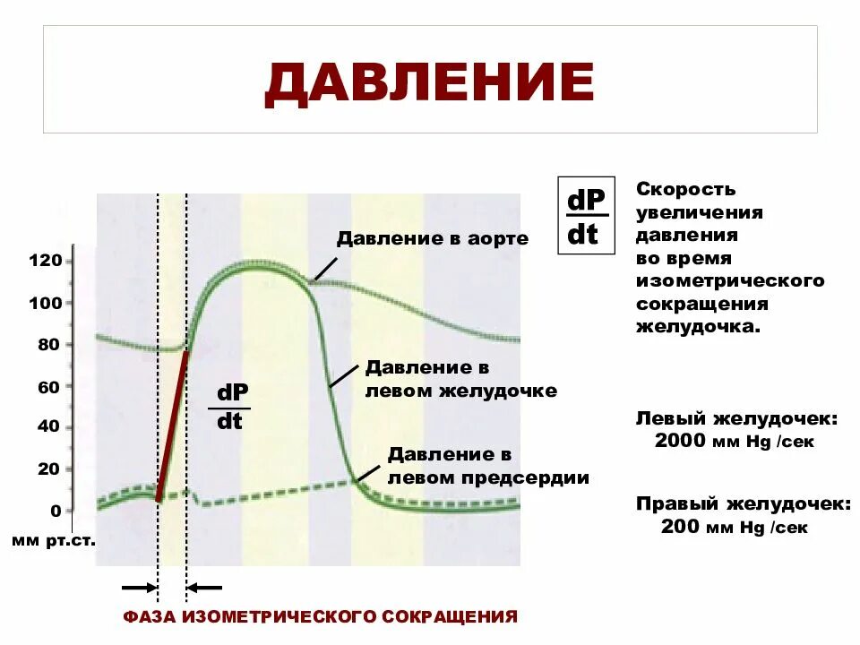 Скорость повышения давления. Давление крови в аорте. Давление в левом желудочке и аорте. Показатели артериального давления в аорте. Давление в желудочках.