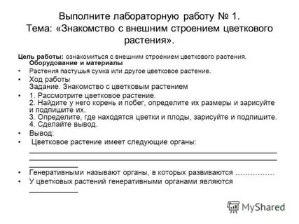 Лабораторная работа 7 по биологии 6 класс