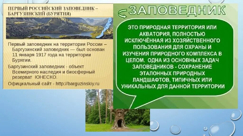 Биоразнообразие оопт. Первый заповедник в россии. особо охраняемые природные территории лекция. оопт в биоразнообразии. самый первый заповедник в россии.