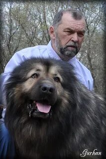 Форум кавказец