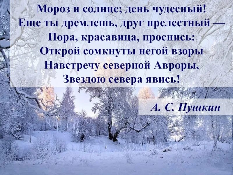 Стих морозное утро. Мороз и солнце день чудесный. Стихотворение зимнее утро. Зима и солнце день чудесный Пушкин. Зимнее утро Пушкин.