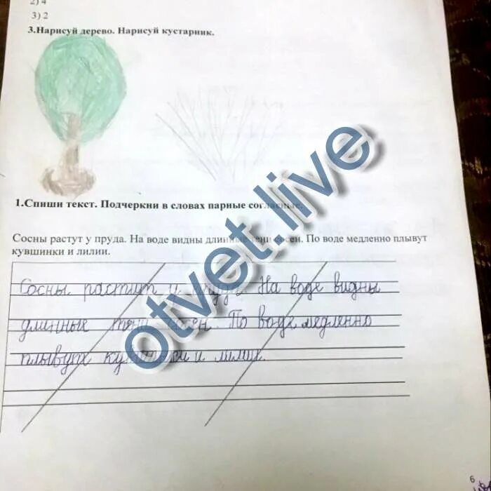 Сосны растут у пруда подчеркнуть мягкие согласные. Сосны растут у пруда подчеркнуть мягкие согласные