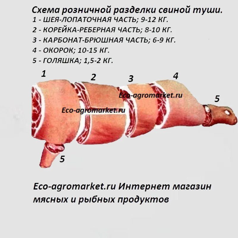 Схема разделки туши свиньи. Части разделанной туши свинины схема. мясо части туши свиньи. схема разделки свиной туши. схема разруба свинины.