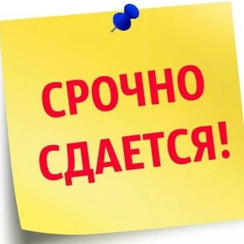 Объявление сдать в аренду. Объявление сдать в аренду
