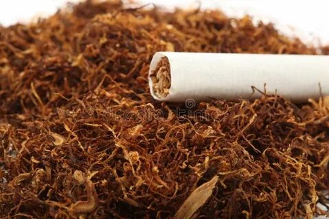 Who tobacco