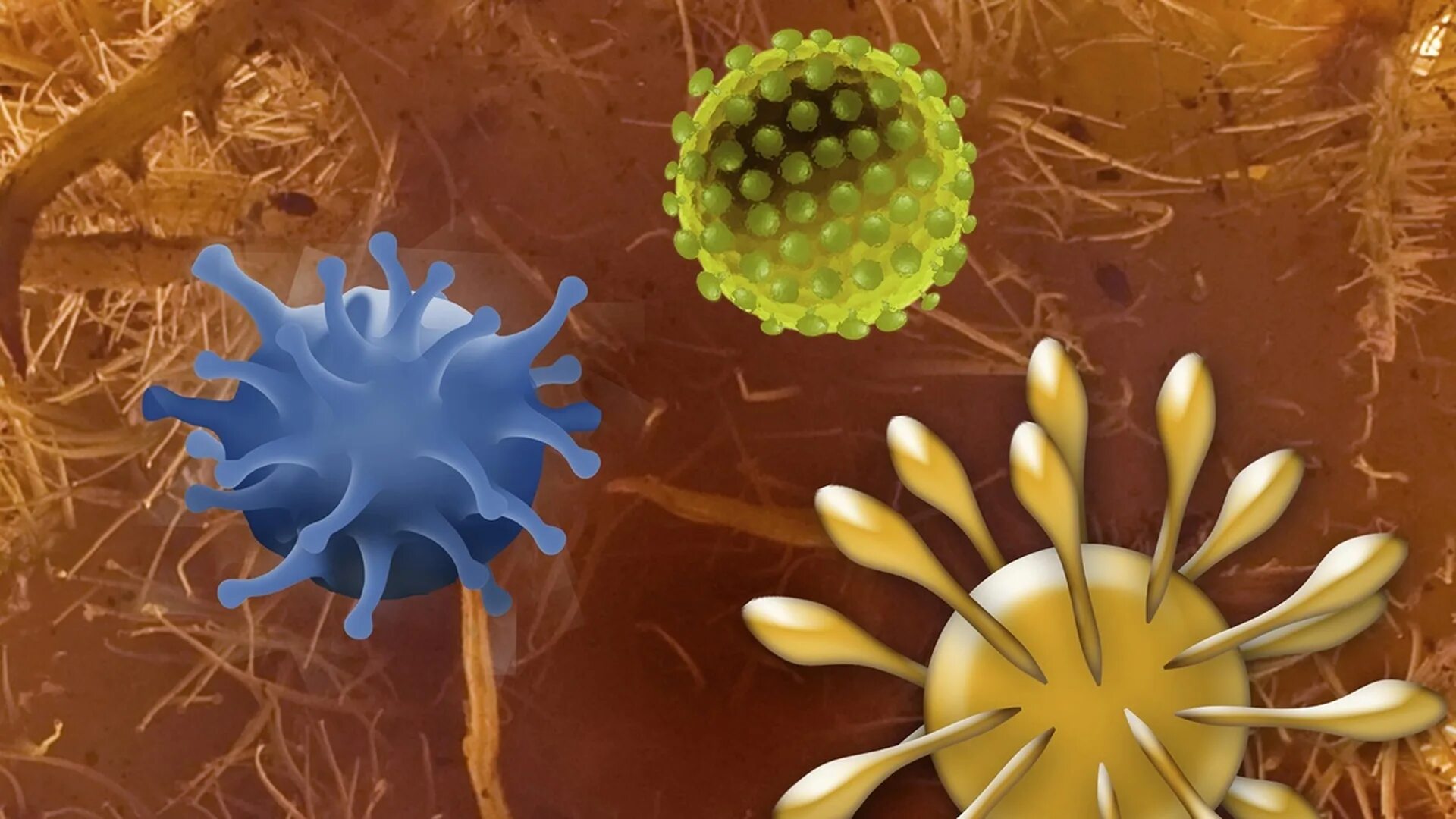 Вирус бешенства патогенез схема. Бешенство механизм передачи. Лабораторные животные. Вирусные болезни животных список. Культивирование вирусов путем заражения лабораторных животных.