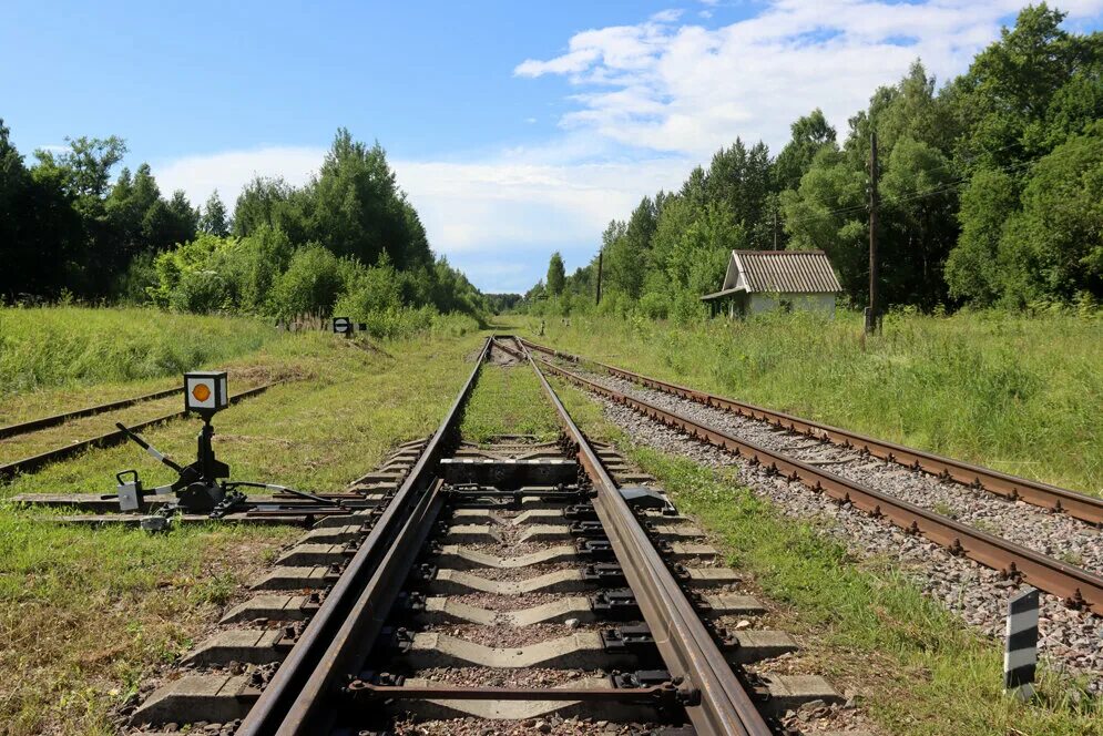 Селижарово. Селижарово Тверской области. Станция в глуши. Тверская глушь. Погода в селижарово на 10