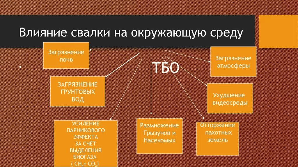 Влияние ТБО на окружающую среду. Воздействие полигона на окружающую среду. Воздействие твердых отходов на окружающую среду. Влияние свалок на окружающую среду.