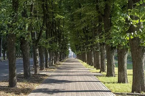 Слушать алеи