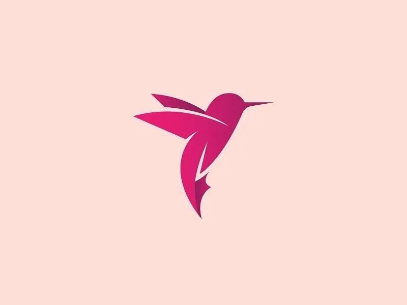 Колибри логотип. Колибри рисунок. Логотип птица. Логотип с птичкой Колибри.