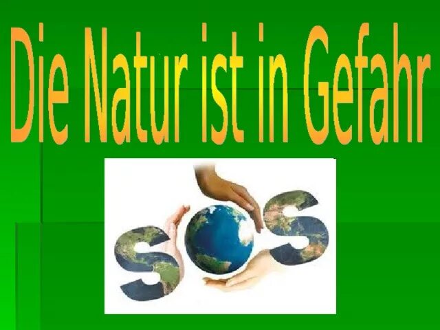 Проект по теме защита окружающей среды Segreti per un'efficace difesa delle piume: lezioni dalla natura