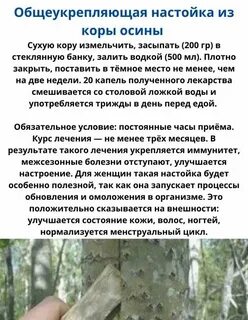 Осина польза для организма отзывы