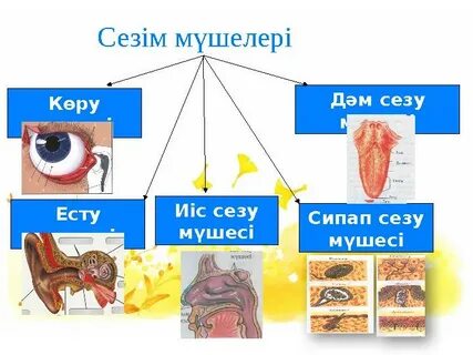Лесби клубтары және бос орындар