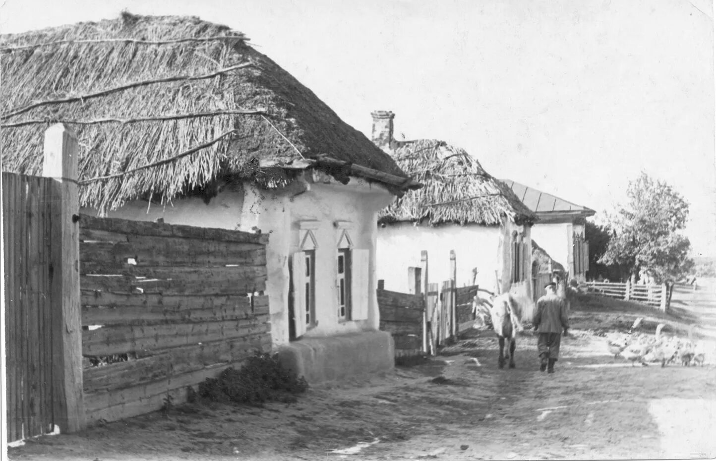 Село раковка приморский край. Село красноставцы хмельницкая область. Старый хутор. Чемеровцы хмельницкая область. Михайловка хмельницкая область.