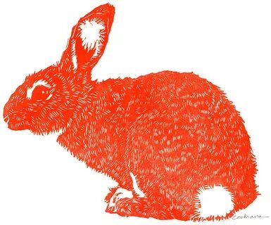 5-22-13 "Red Rabbit" .