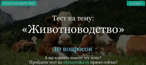 Тест животноводство 3